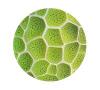 Mexpekil Green Plant Leaf Cell Mouse Pad with Non-Slip Rubber Base Gaming Mouse Mat Small Round Mousepad with Stitched Edg Desk Accessories for Working Gaming 8 Inch