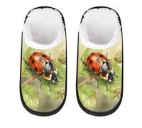 Mexpekil Ladybug Insect Leaf Fluffy Slippers for Women Men L