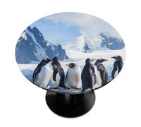 Mexpekil Penguins Round Fitted Tablecloth with Elastic Edge, Cute Penguin Waterproof Table Cover for 45"-56" Tables, Wipeable Circle Table Cloth for Outdoor Picnic Kitchen Indoor Decor