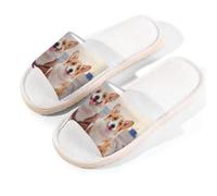 Mexpekil Two Cute Corgi Dogs Linen Slippers for Women Men Non-Slip House Shoes Open Toe Summer Sliders Slip on Indoor Outdoor Slipper (4.5-5.5)