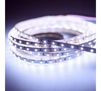 Mextronic LED Strip 3528 Blue White (10000K) 24W 500cm 12V IP20 LED Strips