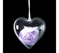 MEYA 10PCS Clear Plastic Acrylic Fillable Hearts Shape Ball Craft Ornament, DIY Bath Bomb Molds,Hanging Plastic Heart Ball Box (Heart, 80MM (2.56inch))