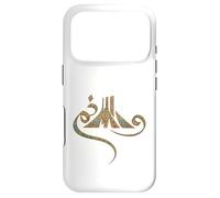 Meydan Shahyad, Ancient Persian Art Case for iPhone 17 Pro
