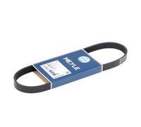 MEYLE 050 005 0725 Serpentine belt
