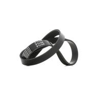 MEYLE 050 006 0950 Serpentine belt