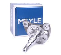 MEYLE 100 501 0011 Wheel Hub