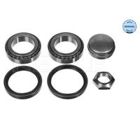 MEYLE 11-14 033 5029/S Wheel bearing kit