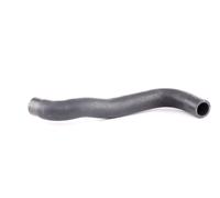 MEYLE 119 121 0042 Radiator hose