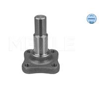 Meyle 16-14 501 0000 Rear Stub Axle Beam Fits Dacia Renault Clio Logan