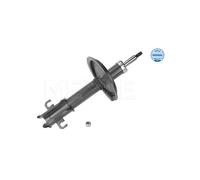 MEYLE 226 613 0009 Shock absorber