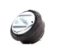 MEYLE 300 118 1107 Engine mount