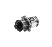 MEYLE 313 011 2900 Water pump