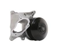 MEYLE 313 220 0019 Water pump