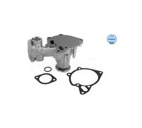 MEYLE 32-13 220 0001 Water pump