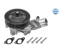 Meyle Engine Cooling Water Pump Fits Jaguar XK Coupe Land Rover OEM 53132200006