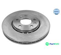 Front Brake Disc for Opel Vauxhall Renault:VIVARO,TRAFIC III 3 4422285 4422285