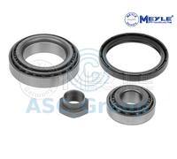 MEYLE 100 098 0028/S WHEEL BEARING KIT Front LH,Front RH