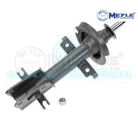 MEYLE 16-26 613 0000 Shock absorber