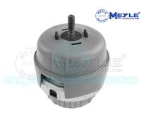 Meyle Left Front Engine Mount Mounting 100 199 0173