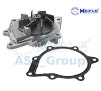 Meyle Replacement Engine Cooling Coolant Water Pump Waterpump 11-13 220 0021