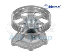 Meyle Replacement Engine Cooling Coolant Water Pump Waterpump 30-13 161 0010