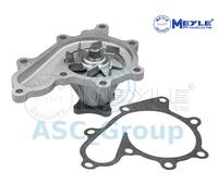 MEYLE 36-13 220 0007 Water pump