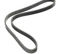MEYLE 050 006 1200/D Serpentine belt