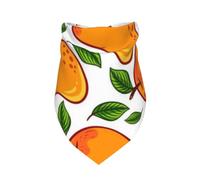 Meymuise Pet Bandana, Fruit Of Mango And Leaves Pattern
