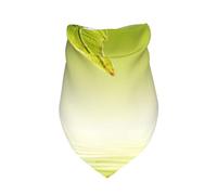 Meymuise Pet Bandana, Green Leaf Reflecting In River Water