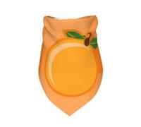 Meymuise Pet Bandana, Orange And Orange Leaves