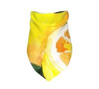 Meymuise Pet Bandana, Watercolor Summer Fruit Lemons Slich Leaves