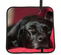 Meymuise Seat Cushions, Black Labrador Retriever Pets Bokeh Black Dogs | Camping Mat Portable Foldable Seat Pads Heat Insulated Compact Walking Pad Outdoor Cushion for Garden Outdoors Travel Park