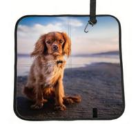 Meymuise Seat Cushions, Cavalier King Charles Spaniel Coast Pets Dogs | Camping Mat Portable Foldable Seat Pads Heat Insulated Compact Walking Pad Outdoor Cushion for Garden Outdoors Travel Park