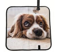 Meymuise Seat Cushions, Cavalier King Charles Spaniel Cute Dogs Pets | Camping Mat Portable Foldable Seat Pads Heat Insulated Compact Walking Pad Outdoor Cushion for Garden Outdoors Travel Park