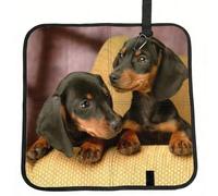 Meymuise Seat Cushions, Dachshund Puppies Pets Dogs Small Dachshund | Camping Mat Portable Foldable Seat Pads Heat Insulated Compact Walking Pad Outdoor Cushion for Garden Outdoors Travel Park