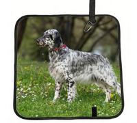 Meymuise Seat Cushions, English Setter Lawn Pets Dogs English Setter | Camping Mat Portable Foldable Seat Pads Heat Insulated Compact Walking Pad Outdoor Cushion for Garden Outdoors Travel Park