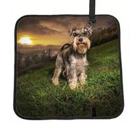 Meymuise Seat Cushions, Schnauzer Sunset Dogs Pets Mountains Schnauzer | Camping Mat Portable Foldable Seat Pads Heat Insulated Compact Walking Pad Outdoor Cushion for Garden Outdoors Travel Park