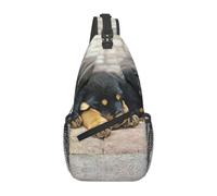 Meymuise Sling Bag, Rottweiler Sleeping Dogs Pets Puppies Small | Crossbody Backpack with Reversible Shoulder Strap for Men and Women, Outdoors Travel Hiking Climbing Biking