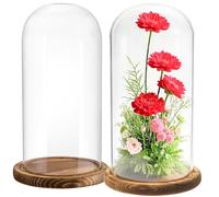Mezchi 2 Pack Glass Cloche Display Dome, 9.8x4.7 inch Decorative Glass Bell Jar, Clear Glass Dome Showcase with Dark Brown Wooden Base, for Plants, Medals, Photos, Antique Collectibles