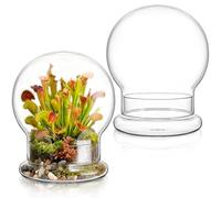 Mezchi 2 Pack Round Glass Cloche Domes with Air Hole and Base, 4.6×6.6 Inches Clear Terrarium Planter, Cloche Planters, Terrarium Bell Jar, Humidity Dome Glass for Plants, Mimosa