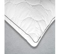 MF International Pillow Protector With Gusset | Pack of 2 | Quilted With Hidden Zipper | Cotton Polyester Blend Fabric 144 Thread Count (19 x 25 | Onion)