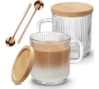 Mfacoy 2 PACK Glass Coffee Mugs with Handle & Spoon, 12 OZ Glass Coffee Cups with Bamboo Lid, Ribbed Glass Cups, Clear Tea Cup for Hot/Cold Beverages, Glassware Set for Americano, Latte, Cappuccino