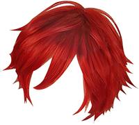 MFKaish Cosplay wig for Monthly girls Nozaki-kun Mikoshiba Mikoto