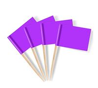 Mflagperft Blank Toothpick Flags Labeling Marking Flag Small Mini Stick Flags for Cupcake Food Fruit Party Decorations (100 pack) (Purple)