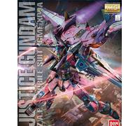 MG This Gundam 1/100 scale plastic model kit