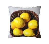 MGGAklp One Basket Lemons Print Decorative Square Throw Pillows For Home Living Room Bedroom Bed Outdoor