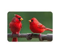MGGAklp Red Birds Print Doormat Home Floor Mat Non Slip And Water Absorption For Outdoor Indoor Decor