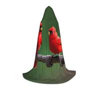 MGGAklp Red Birds Print Hooded Cape For Teenagers For Halloween, Cosplay And Themed Parties