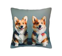 MGGAklp Wearing Clothes Cute Corgi Dogs Print Decorative Square Throw Pillows For Home Living Room Bedroom Bed Outdoor