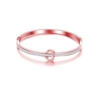 MGJ™ Love Forever Charm Bangle for Women with Austrian Crystals | Hypoallergenic Jewellery Gift in White Gift Box & Bag Christmas Jewellery Gifts for Her (Rose Gold)